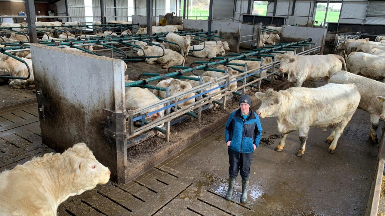 Beef Focus revisited: Modern pedigree Charolais operation in Cavan