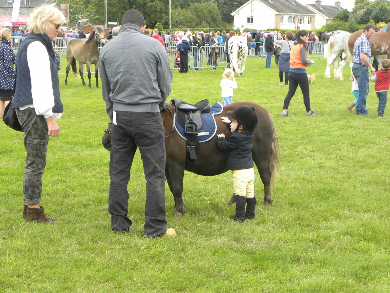 Virginia Show, the day in photos