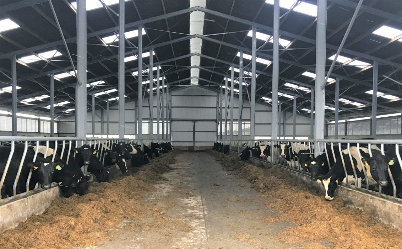 Buildings focus: 168 cubicles facilitating expansion in Co. Kilkenny