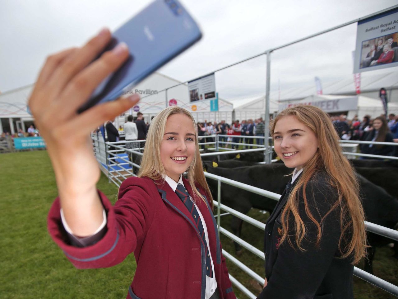 Angus challenge begins as kids meet calves at Balmoral