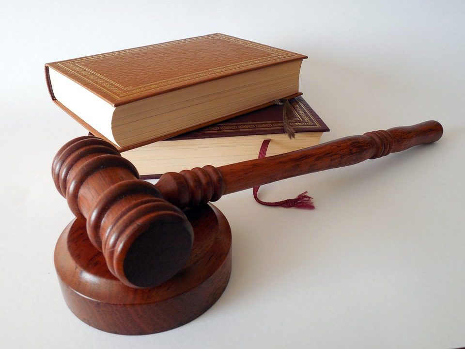 Court: NI farmer sentenced in animal welfare case