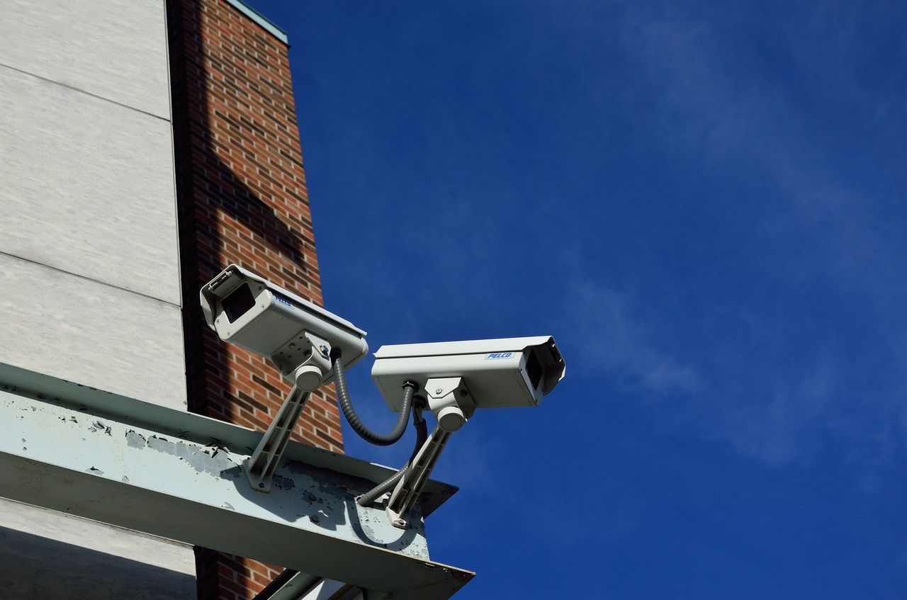 Vets hope NI will follow Scottish lead for compulsory cameras in abattoirs