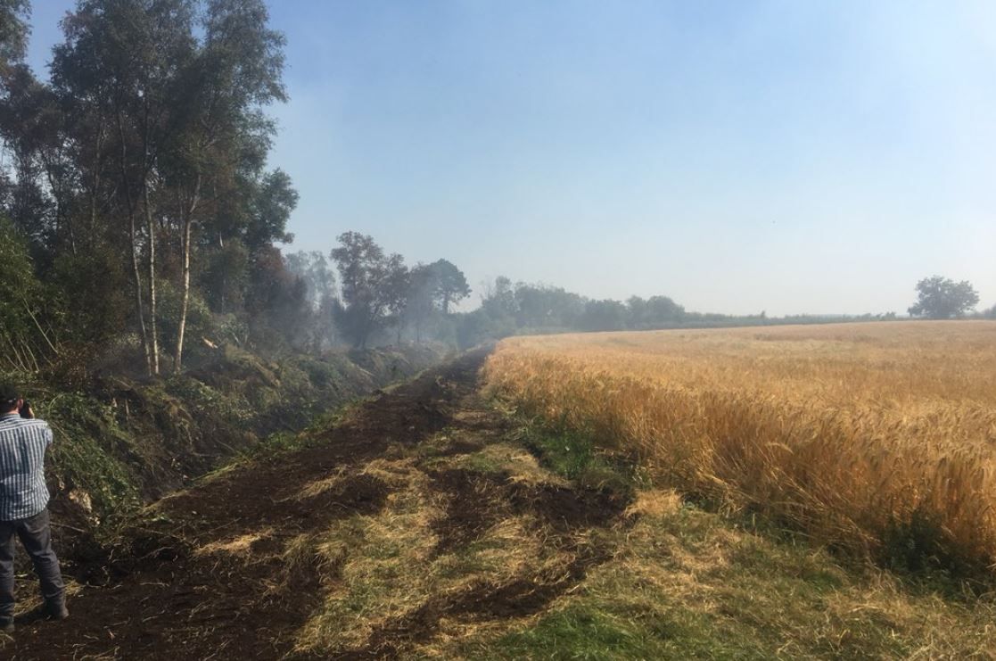 Fire breaks set up to protect 50ac corn field from fire