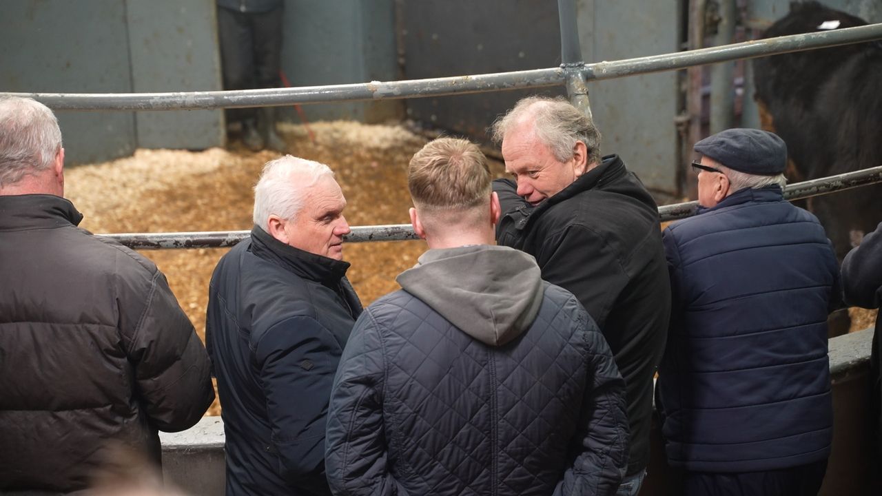 Watch: Catch up at the mart - Bord Bia, bluetongue and weather
