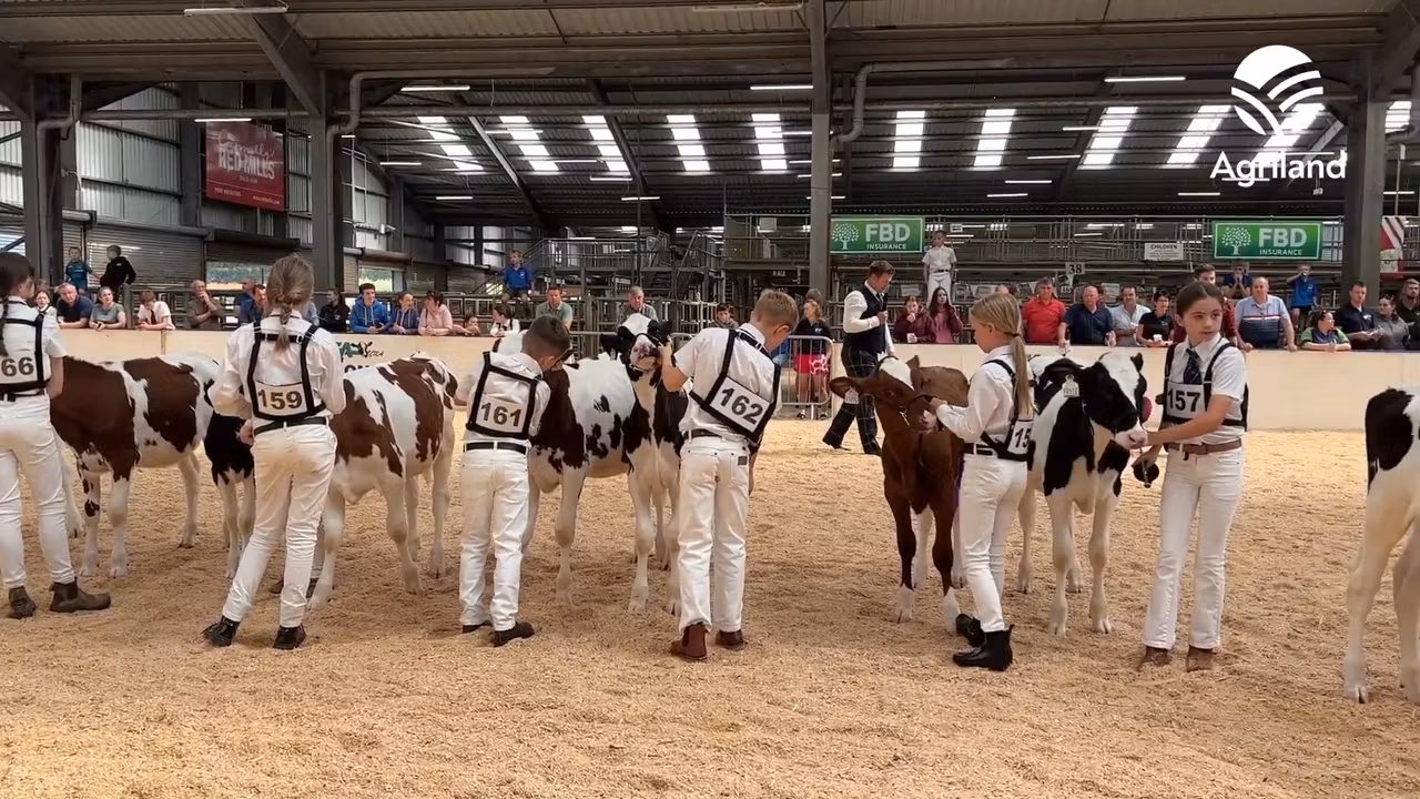 Highlights from the FBD National YMA Finals