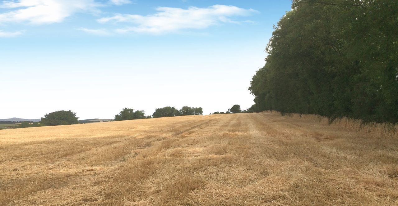 Weather: Mostly settled and dry conditions this week