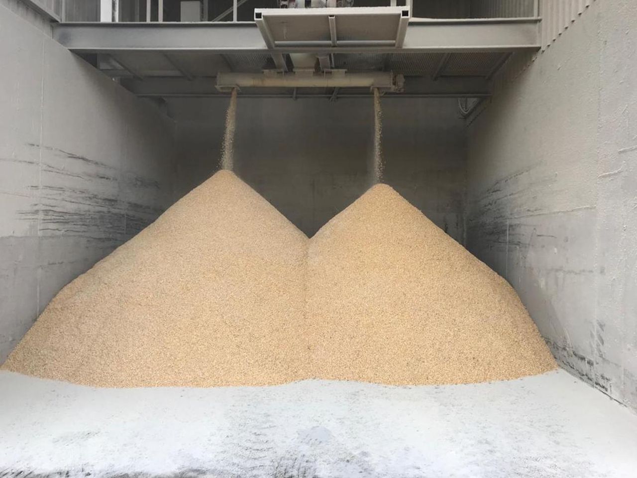 Irish Grain Assurance Scheme recognised for lining up with world standards