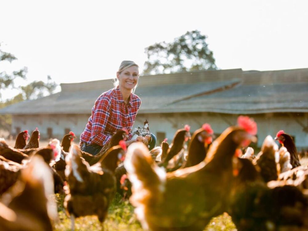 Supporting women in agriculture a 'key priority' - McConalogue