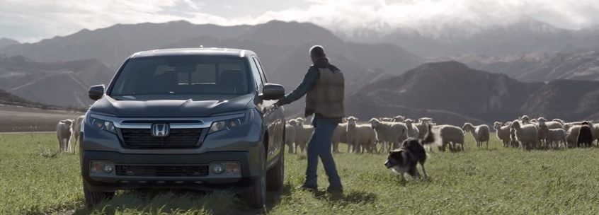 Video: Sheep take to the field for Honda's Superbowl 50 ad