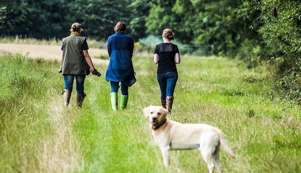 DAERA launches index to measure NI public's engagement with environment