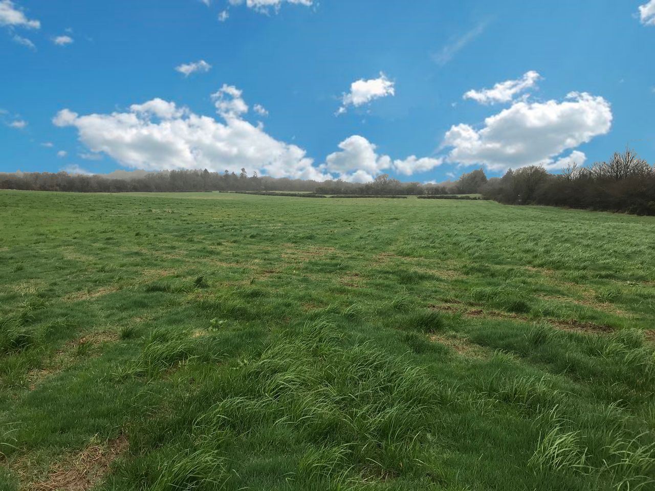 Looking for a change of scene? 18ac roadside holding may have development potential