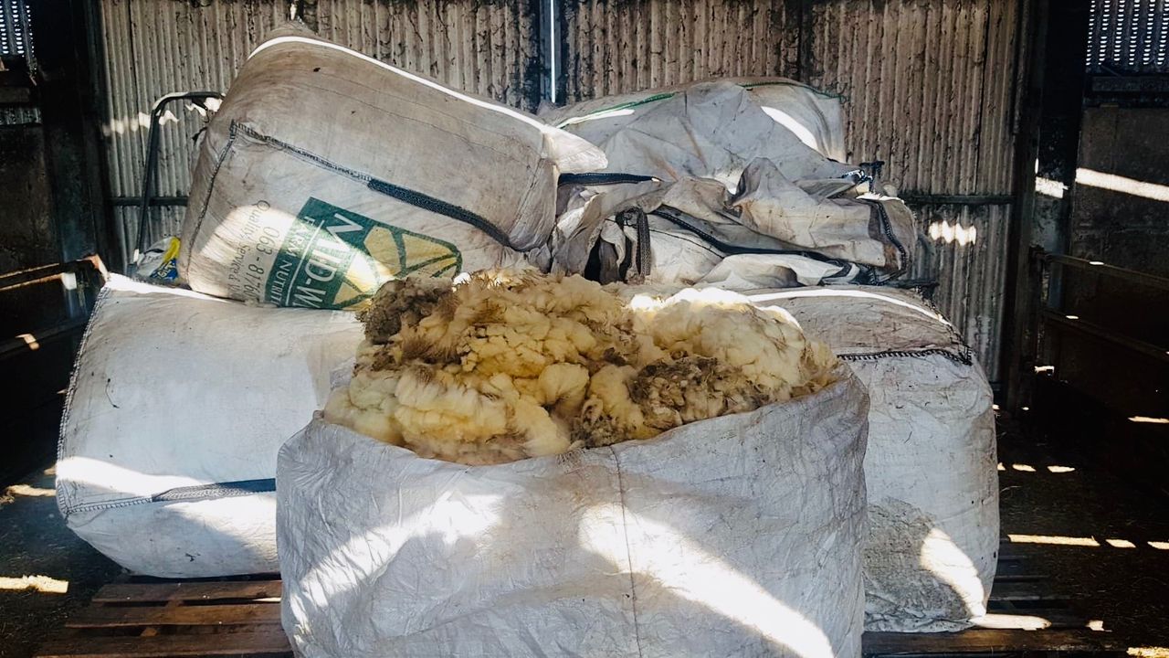 Opinion: The wool market is dead. Drystock farmers need immediate, concrete action
