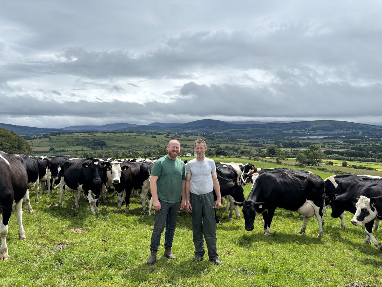 Dairy focus: 650kg MS/cow and infrastructure in Wicklow