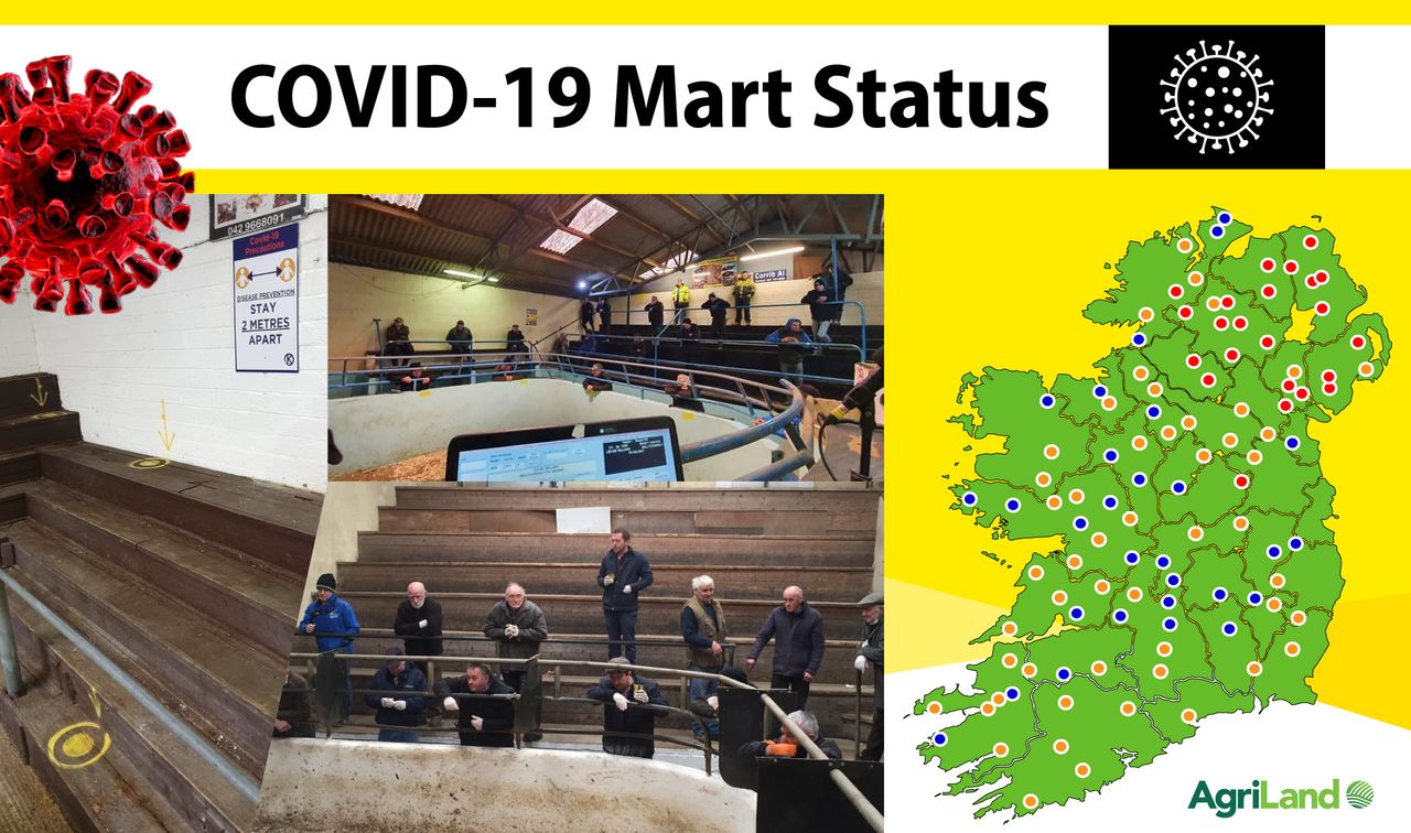 Mart status: Updates and commentary as marts given permission to reopen [ongoing]