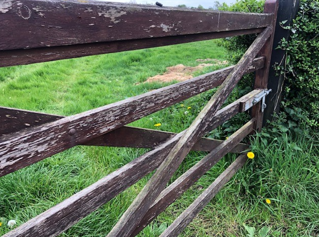 Teagasc outlines importance of yard design for farm safety
