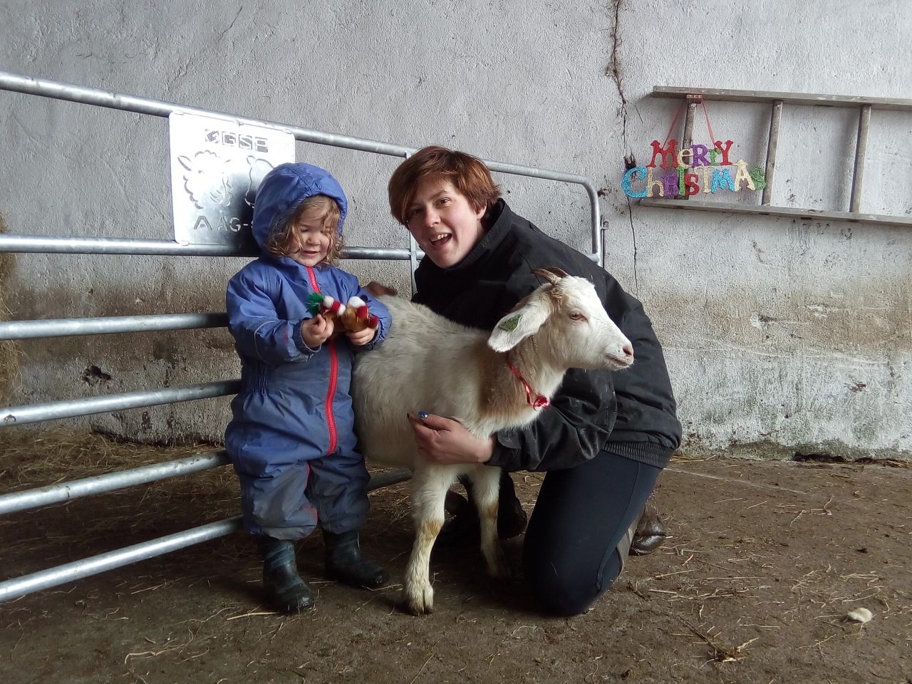 'It's like rural Ireland has been rubbed off the map'