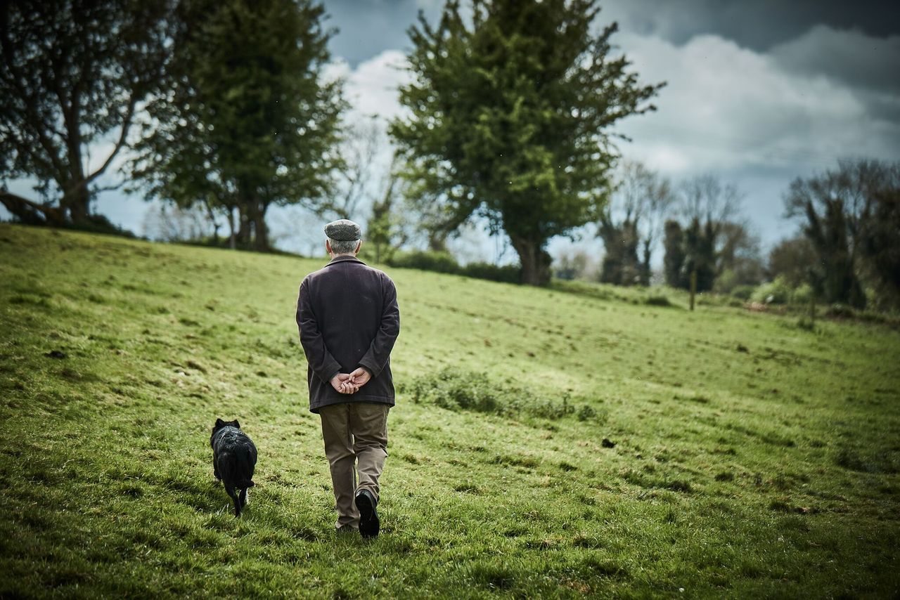 New safety campaign targets older farmers in NI