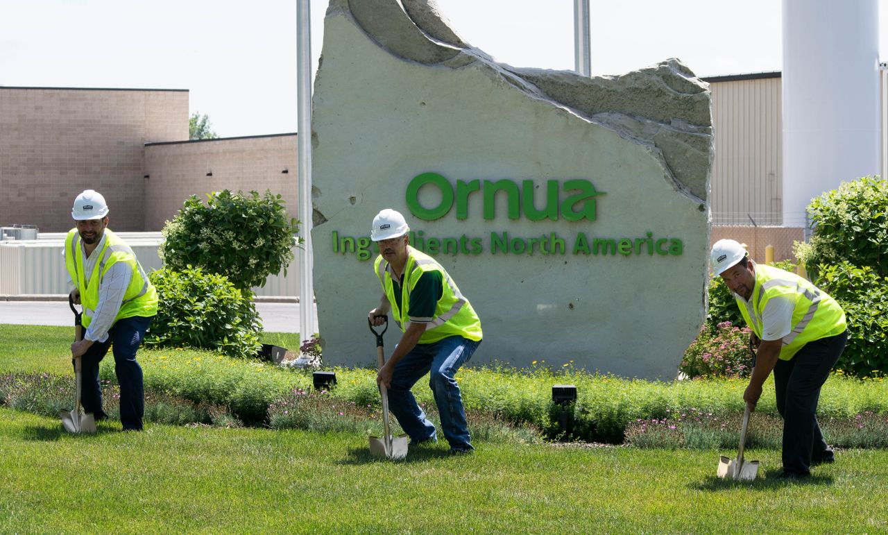 Ornua invests $10 million in US cheese facility expansion