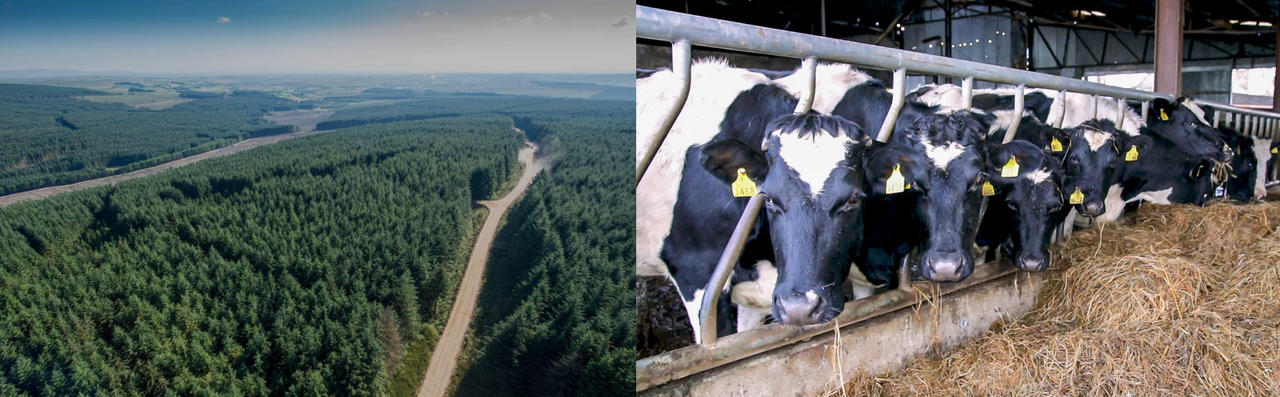 Destructive characterisation of agri-business becoming farcical
