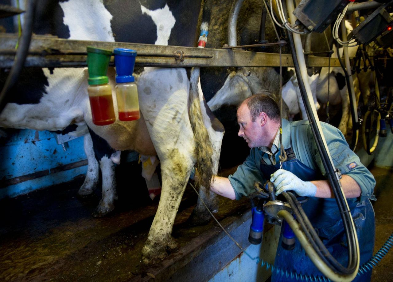 New collaboration to establish low carbon milk