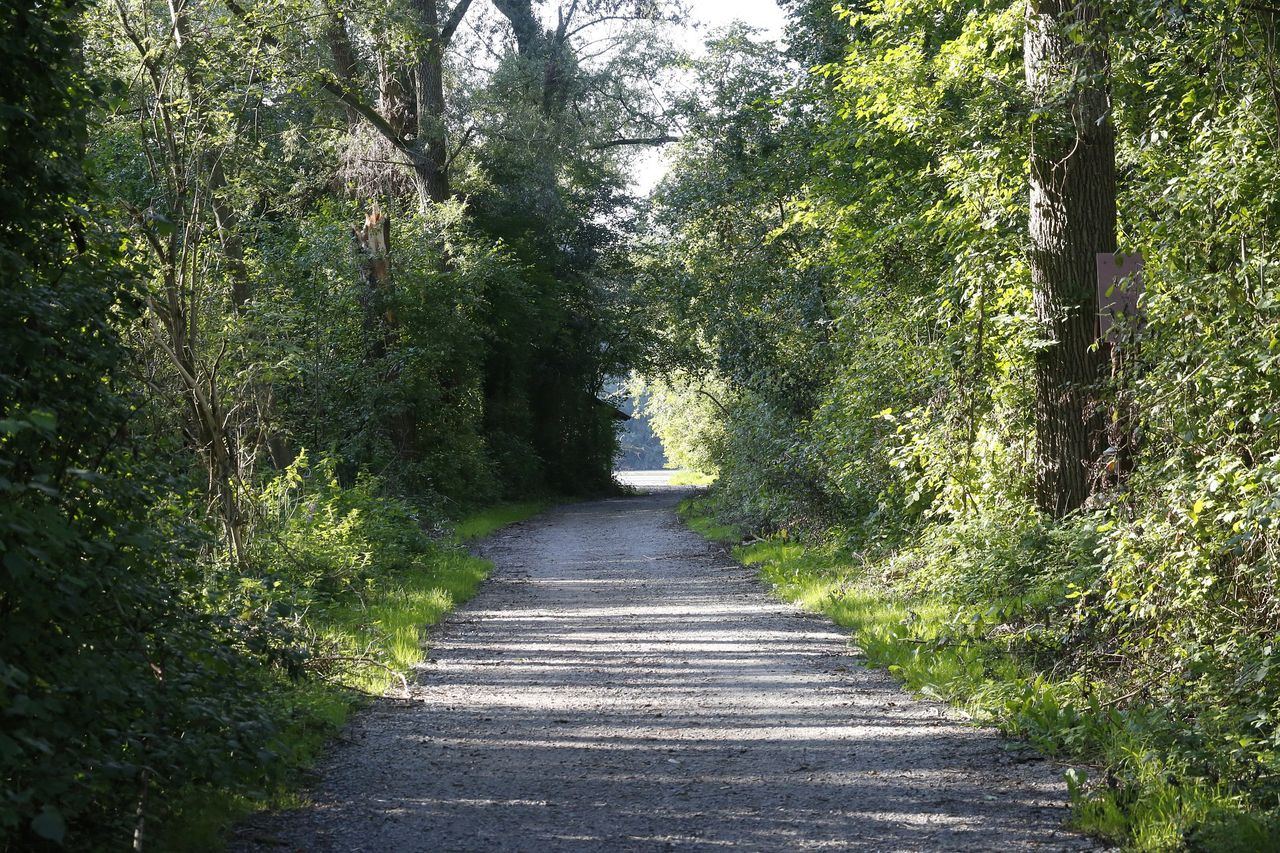 Right of way bill to be published imminently