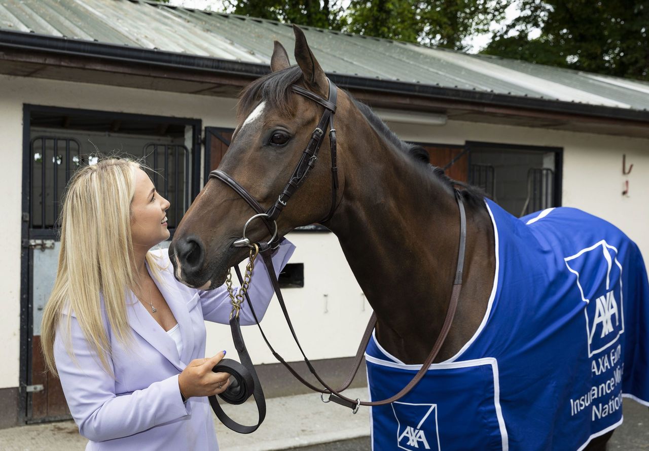 Freewheelin Dylan seeks to defend €75,000 Kilbeggan crown
