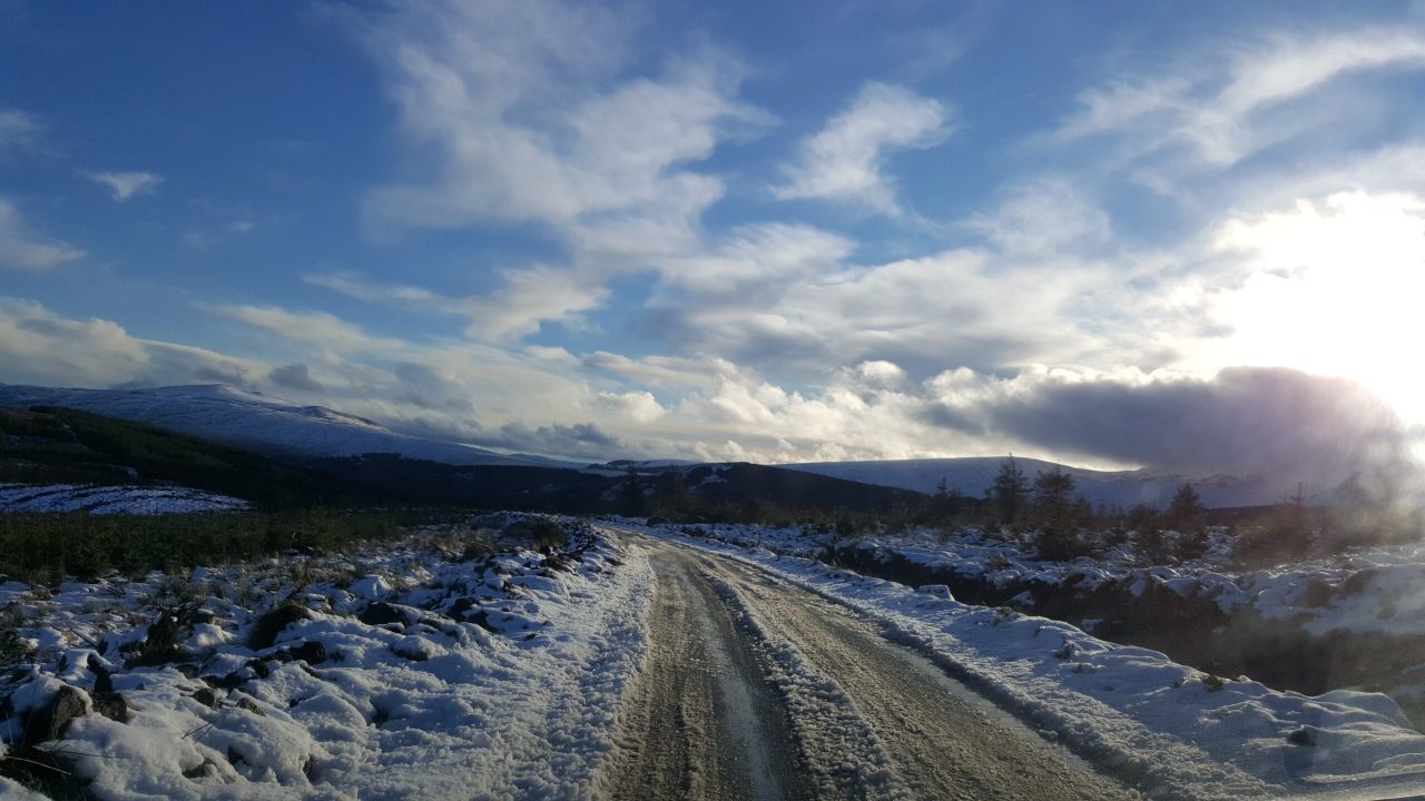 Blizzard-like conditions could hit Irish farms in the coming days