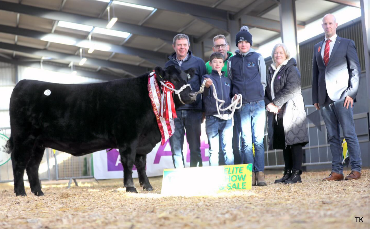 Cork-bred heifer takes top price at Angus sale in Carrick