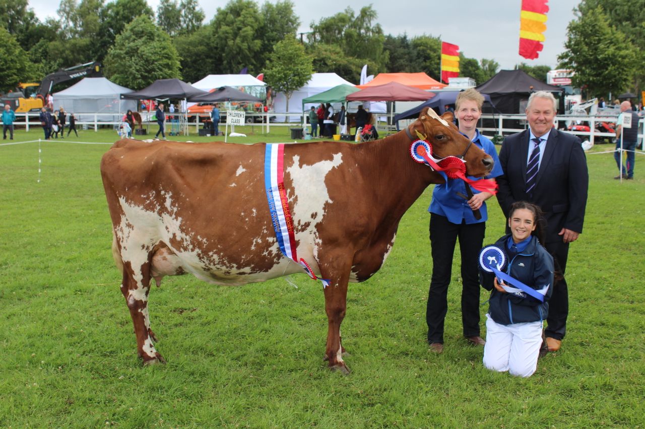 'Tremendous' Dairy Shorthorn cow crowned champion at Omagh Show