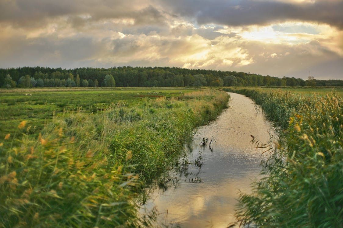 Waterways paying 'high price' for nitrates derogation - TD