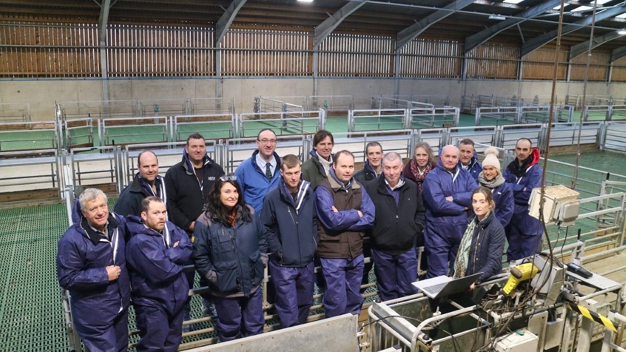 CAFRE set to hold ewe management event next month