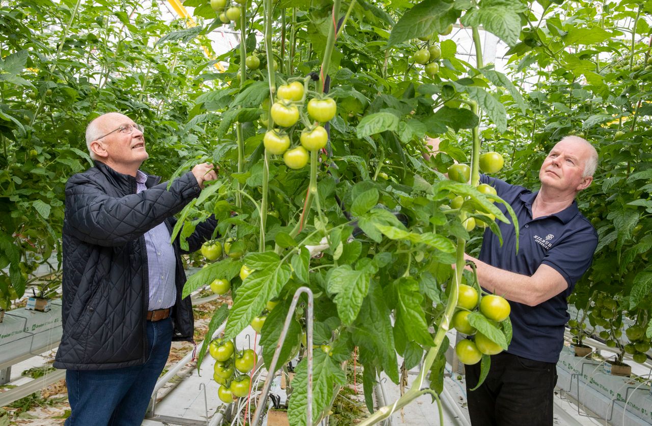 Horticulture report outlines intense pressure on domestic producers
