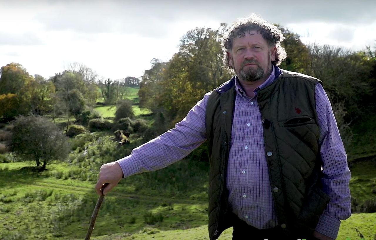 A farmer and his magical field: How fairies have 'kept the land sacred in Ireland'