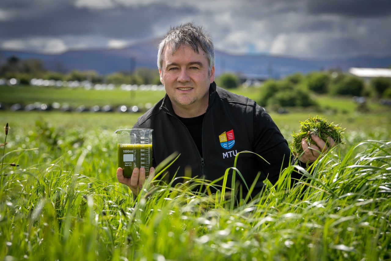 MTU to lead €9m farm-based biorefinery demonstration