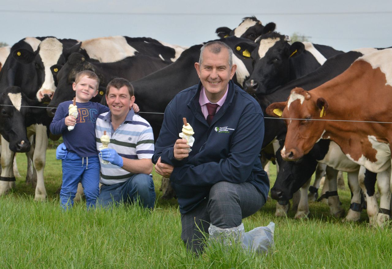 Former NI agriculture minister Edwin Poots returns to MLA duties
