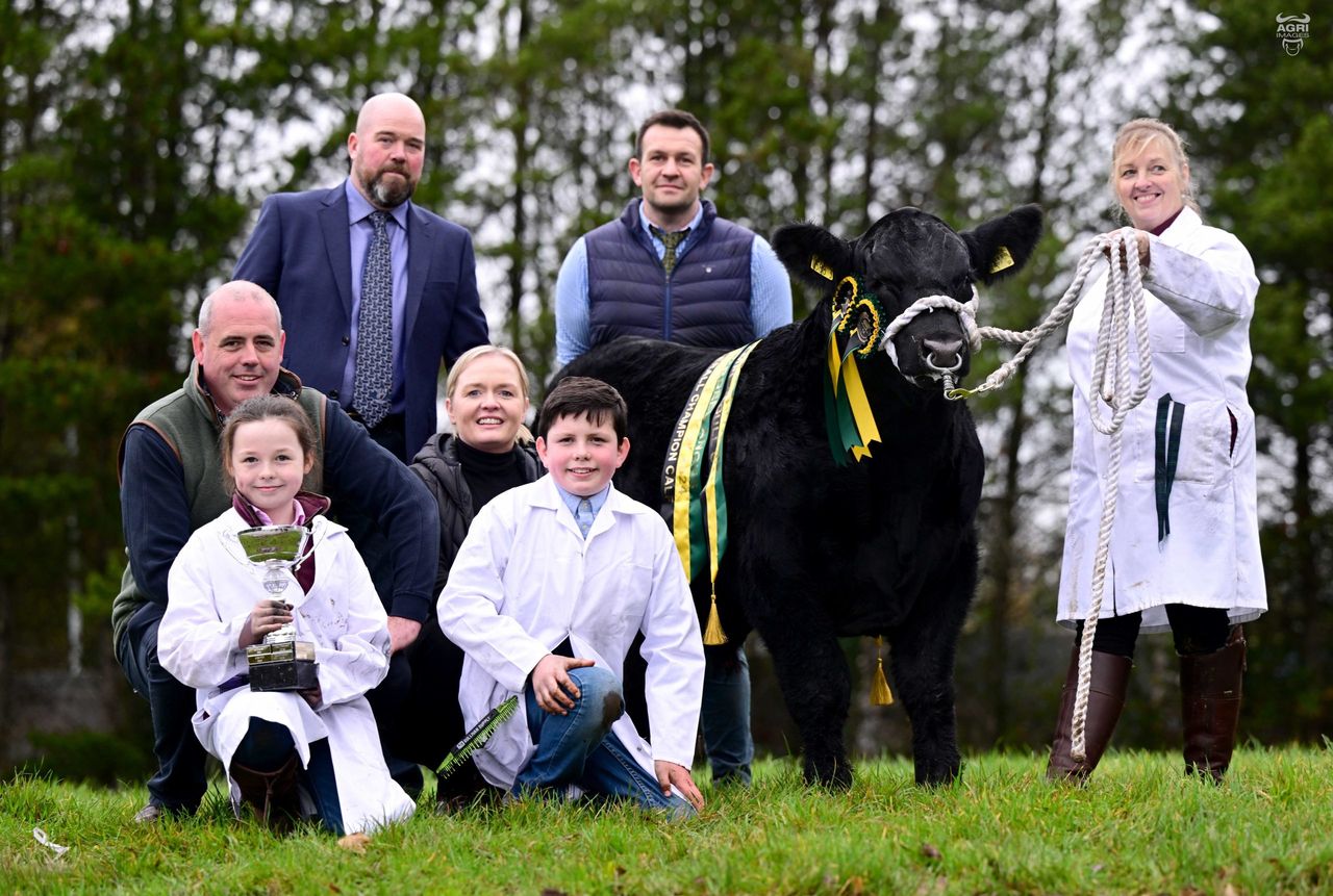 Drumhill Aberdeen Angus to host event marking 150th herd book