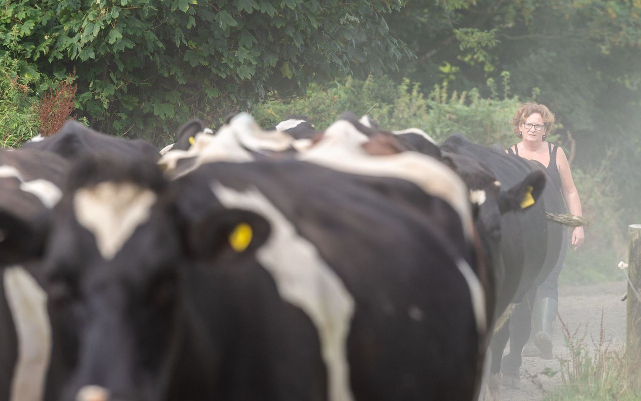 Meet the Cork farmers who volunteer as drivers for cancer patients