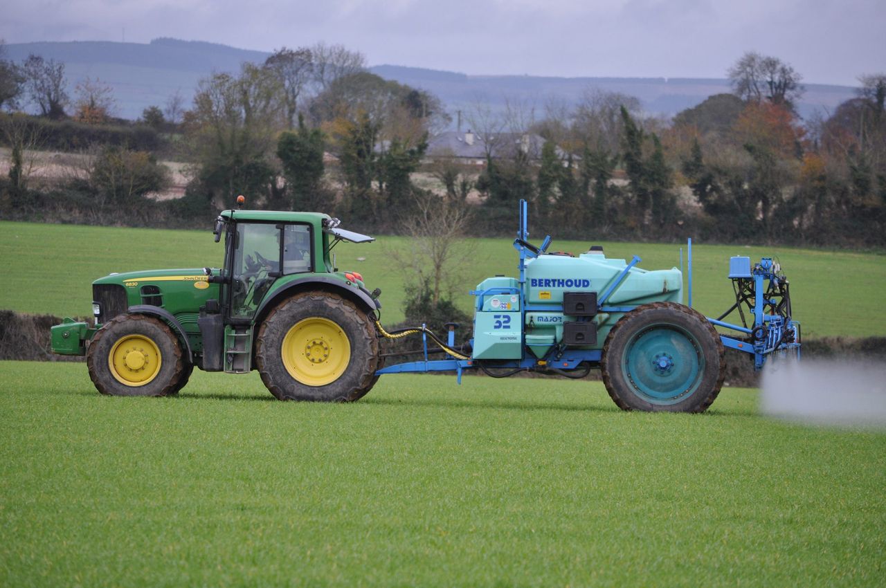 'Spray herbicide early to control grass weeds'