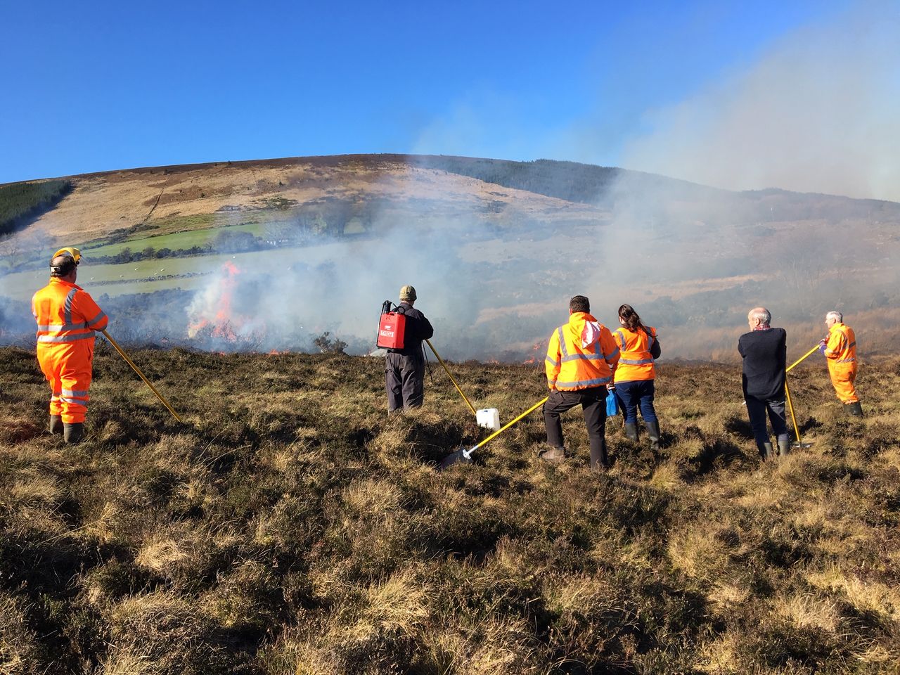 Uncontrolled upland burning condemned by Wicklow Uplands Council