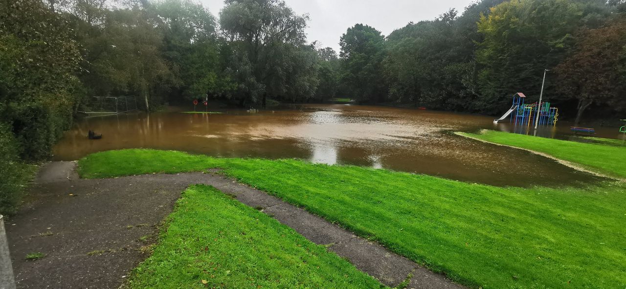 Senator calls for quicker processing of flood defence schemes