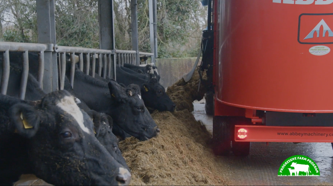 Progressive Farm Program: Breeding a robust cow for Meath autumn-calving herd