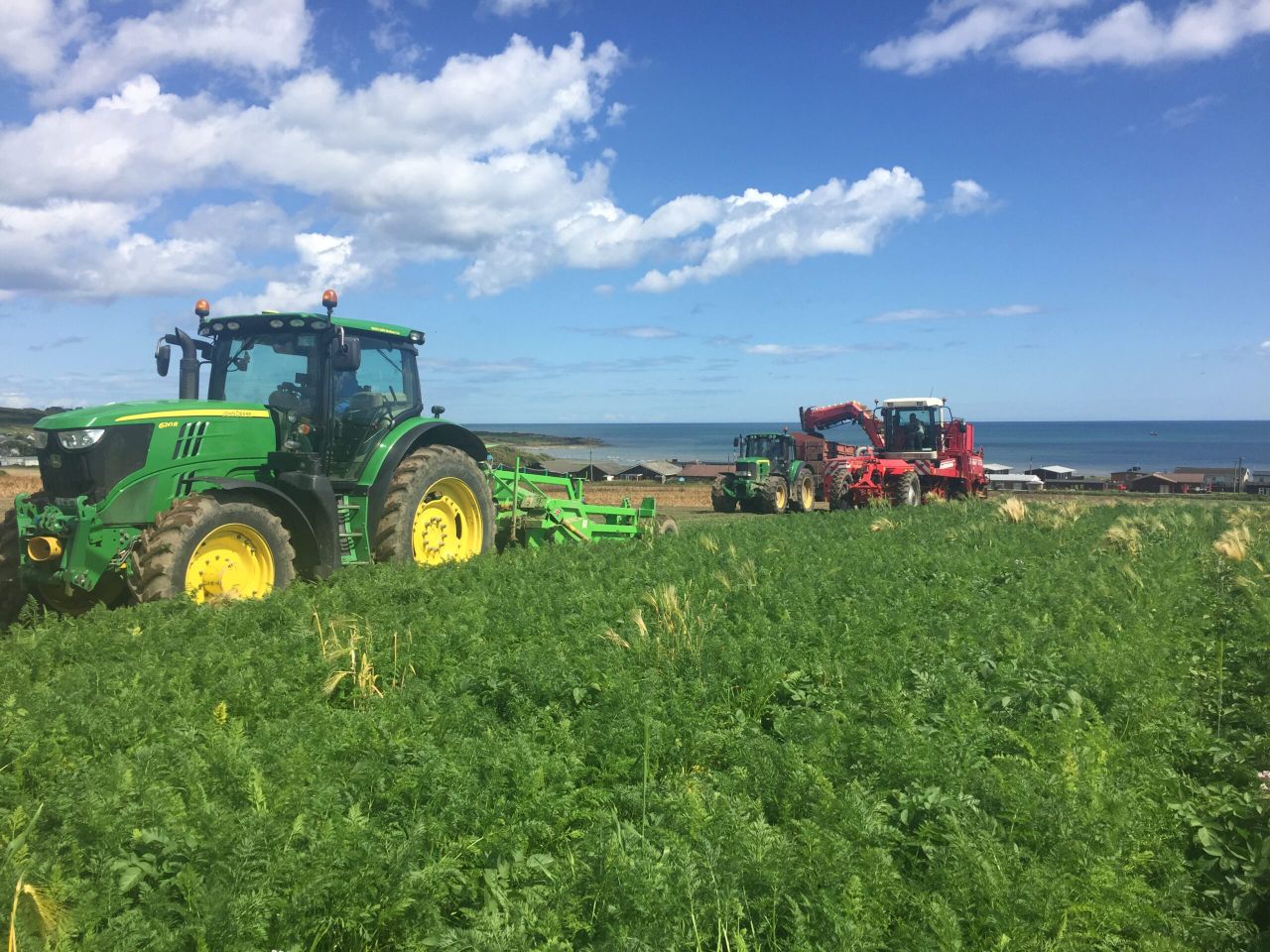 Supermarket agrees financial support for vegetable growers