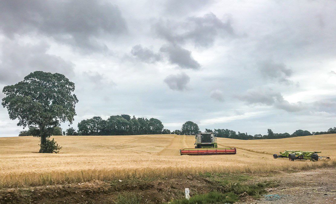 Tillage focus: Sowing forage crops for dairy farmers