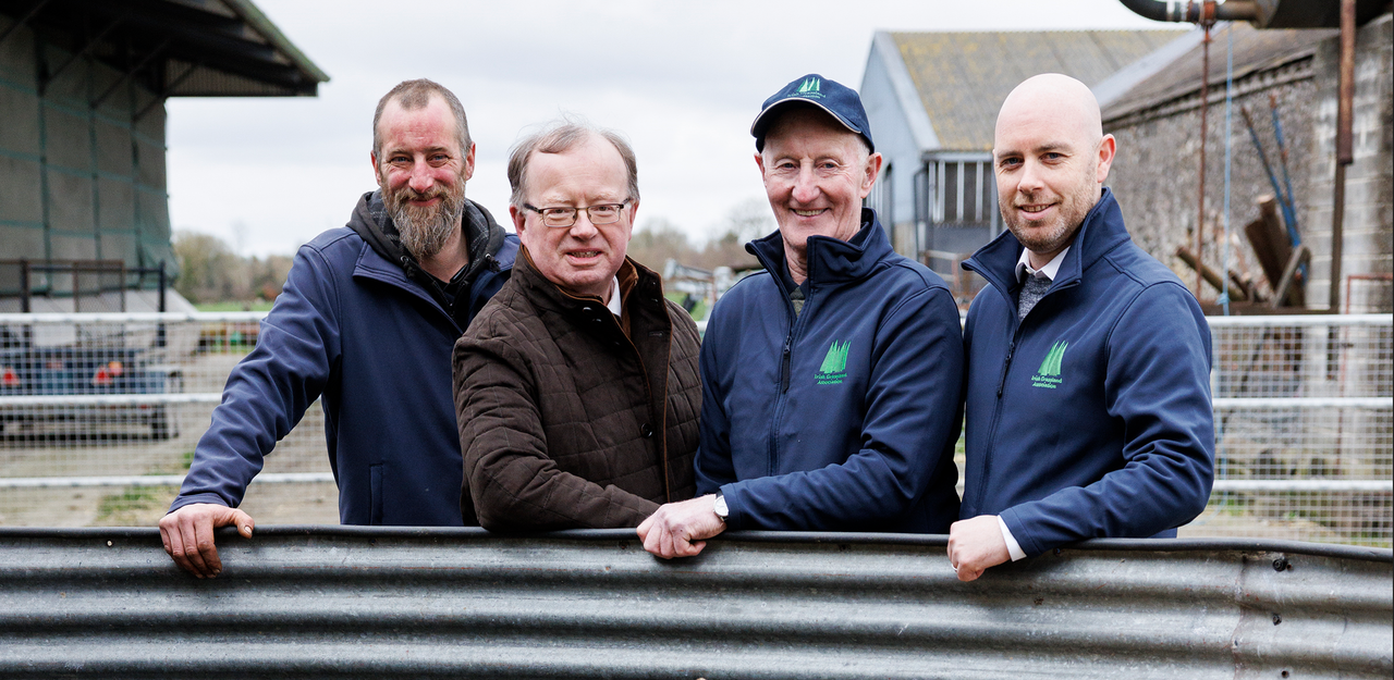 IGA sheep event to take place entirely on-farm