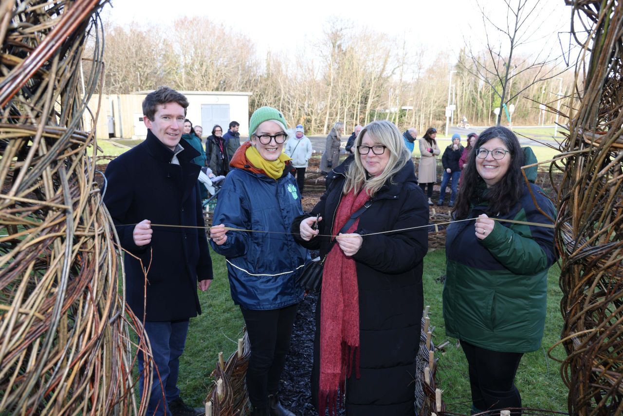 University of Galway launches Pocket Forest mini-woodland project