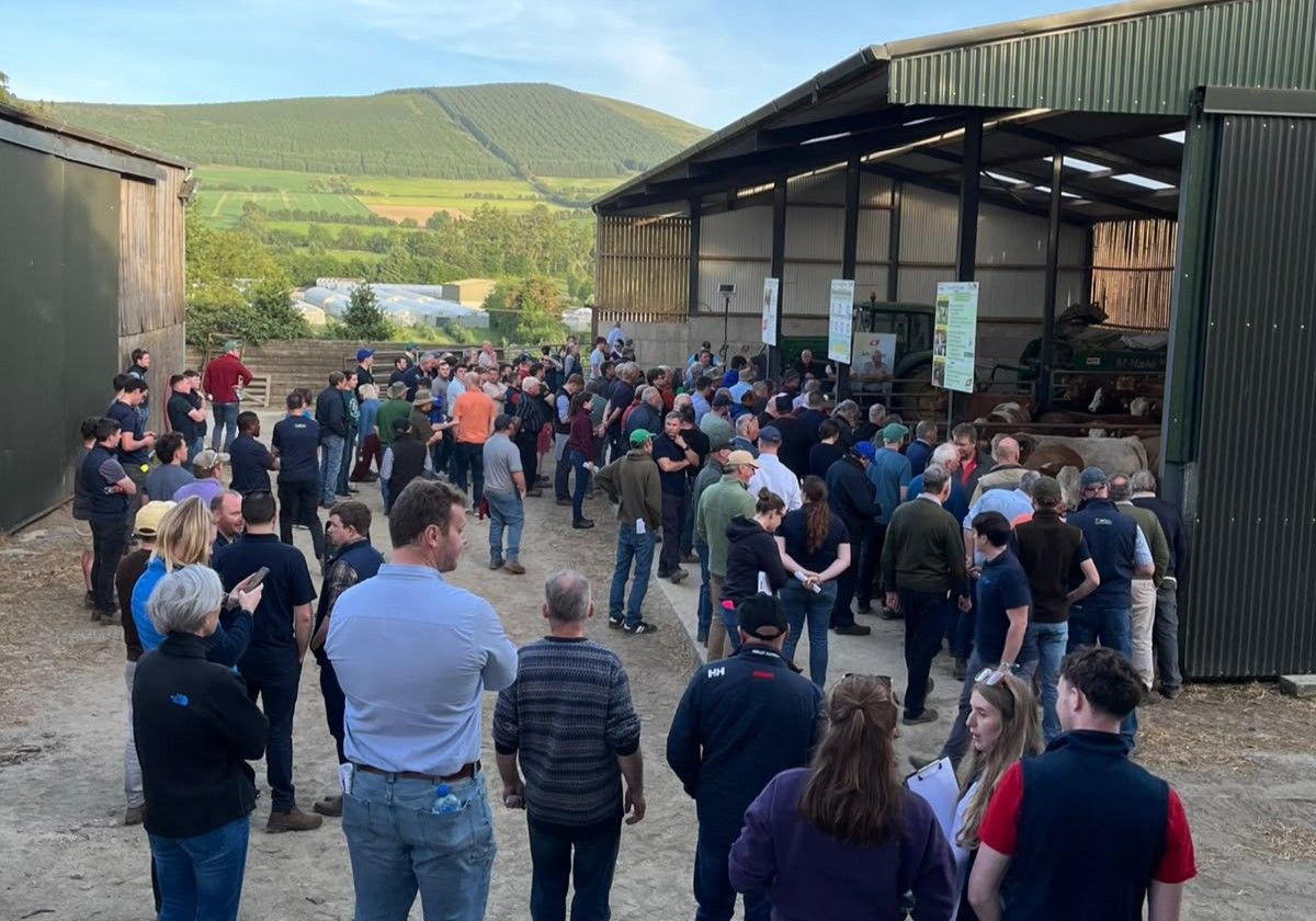 Wicklow suckler farm event focuses on production and profitability