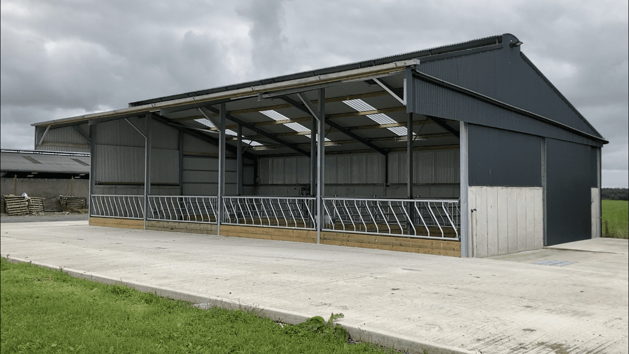 Buildings Focus: 4-bay slatted shed in Sligo for suckler-to-beef farm