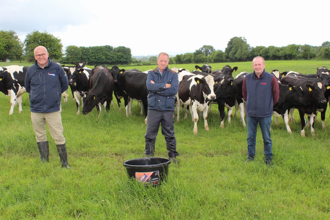 'Increased demand' for feed blocks to prevent summer mastitis