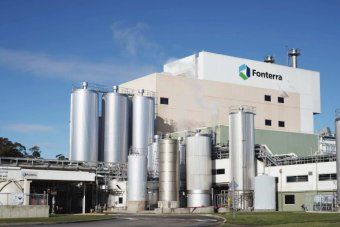 Cost cutting boosts Fonterra profits to €280m