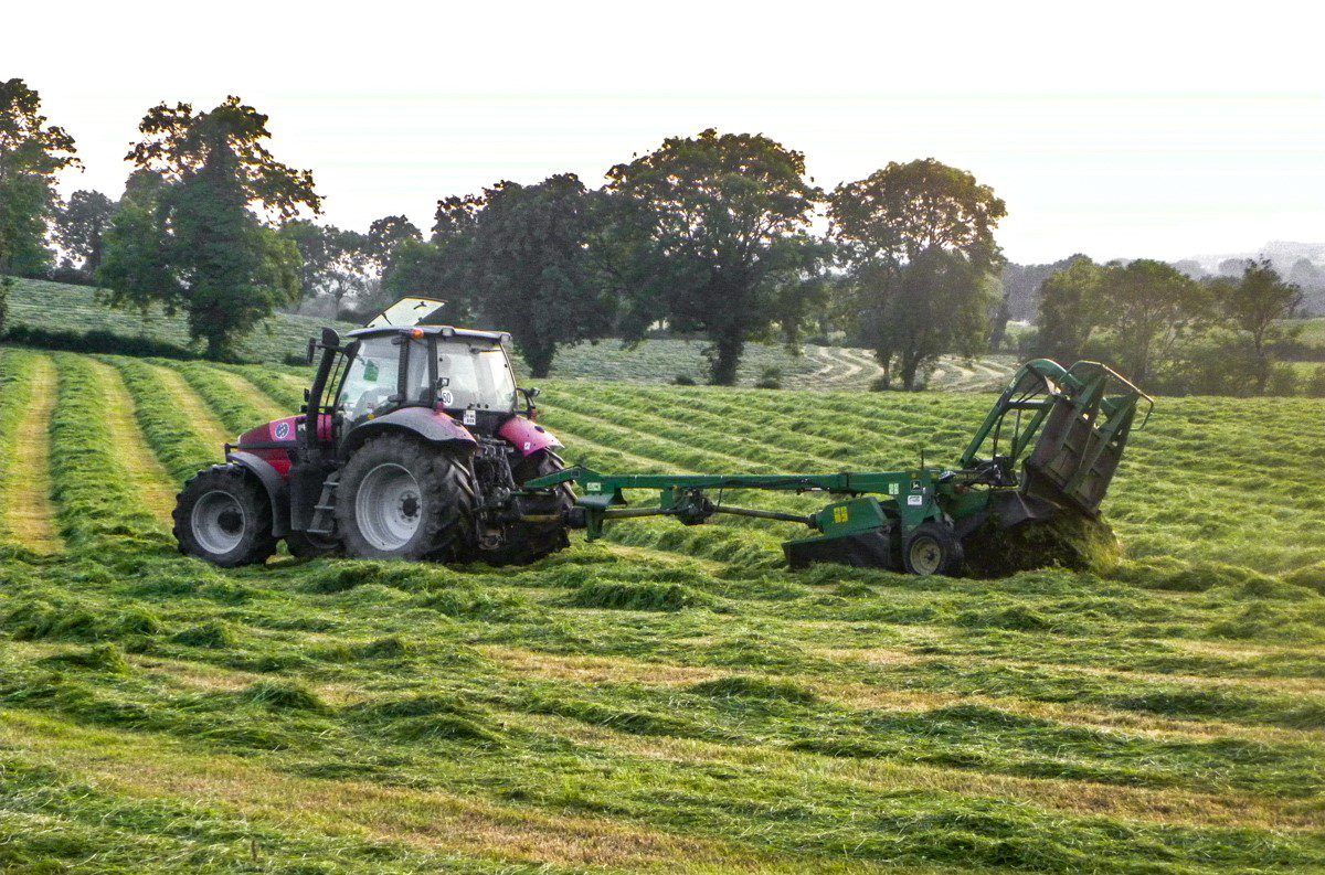 Minimising contamination of  silage crops